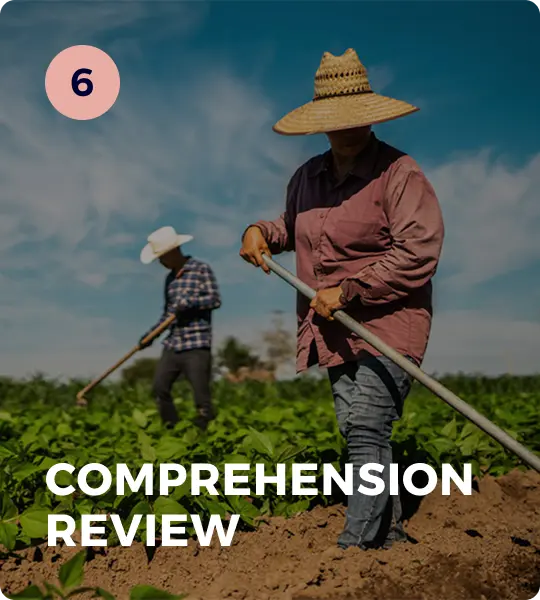 Module 6: Comprehension Review